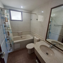 Twin Heights (D12), Apartment #495498761